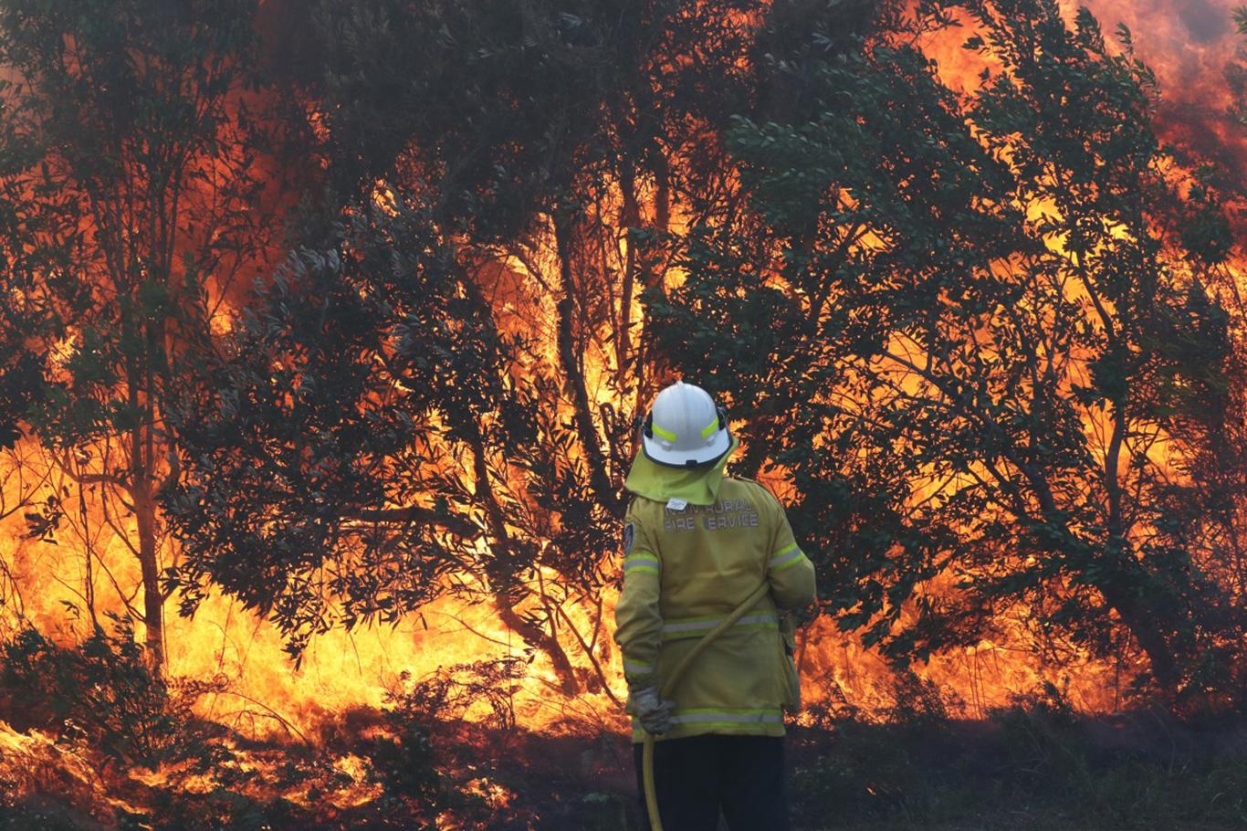 Avustralya'da orman yangınları 10 gündür sürüyor